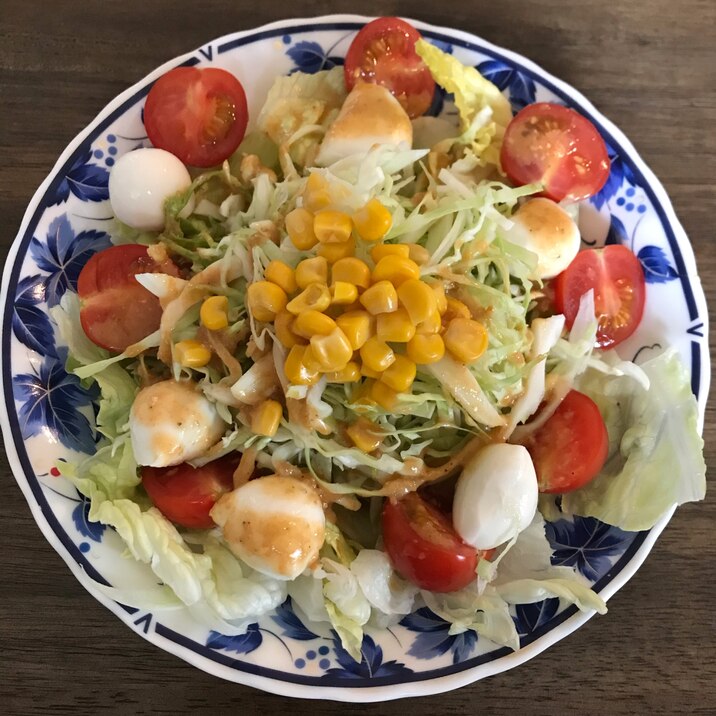 野菜とモッツァレラチーズの山盛りサラダ レシピ 作り方 By 簡単 時短 レンジママ 楽天レシピ 野菜とモッツァレラチーズの山盛りサラダ レシピ 作り方 By 簡単 時短 レンジママ 楽天レシピ